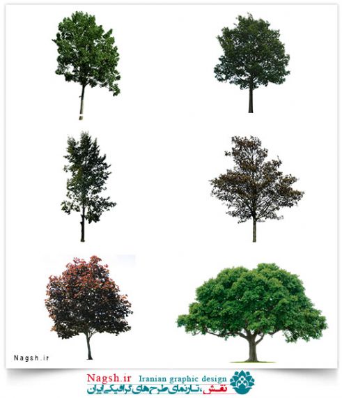دانلود مجموعه تصاویر(png) درختان