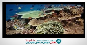 دانلود ویدئو کلیپ ماهی های اعماق اقیانوس