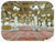 پانوراما مسجد النبی